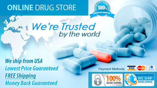 Our services