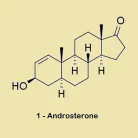 1-Androsterone prohormone
