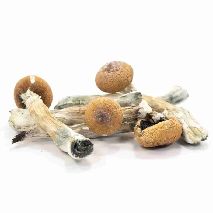 Buy Liberty Caps Liberty Caps