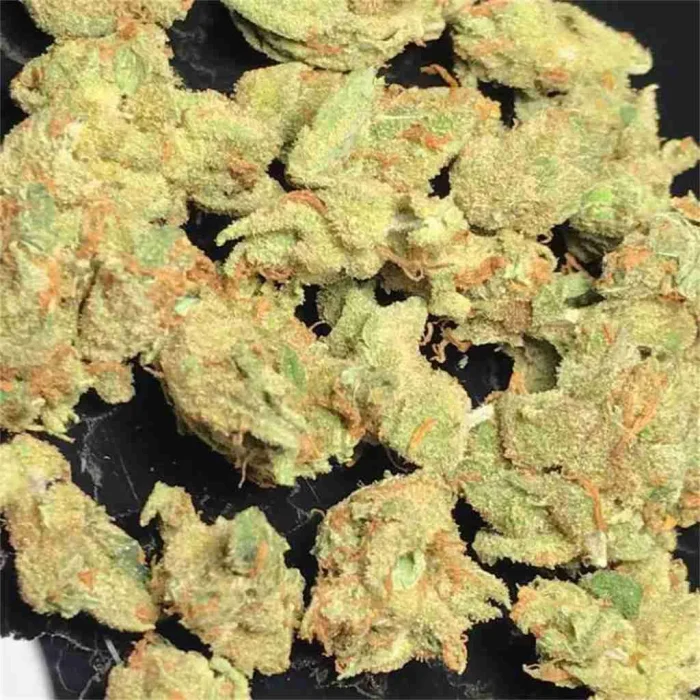 Buy Amnesia Haze Amnesia Haze