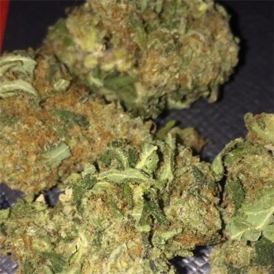 Buy Apple Jacks Strain Apple Jacks Strain