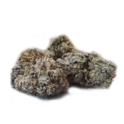 Buy Black Domina Black Domina