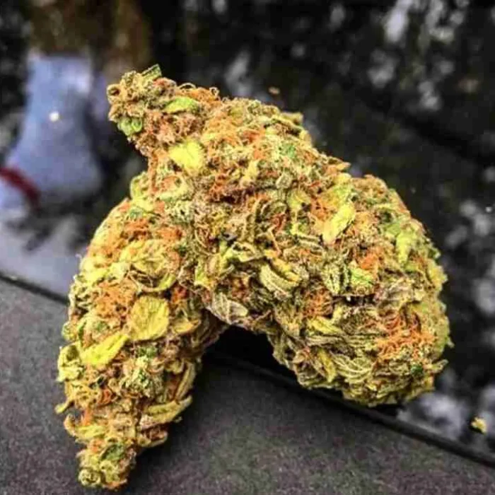 Buy Blue Cheese Weed Blue Cheese Weed