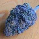 Blue Dream / Oz