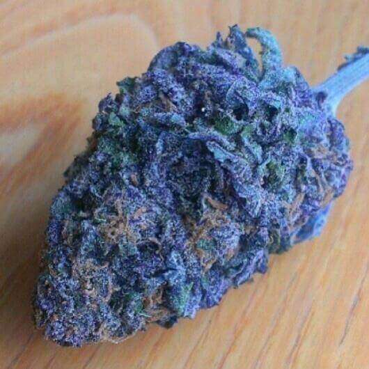 Buy Blue Dream / Oz Blue Dream / Oz