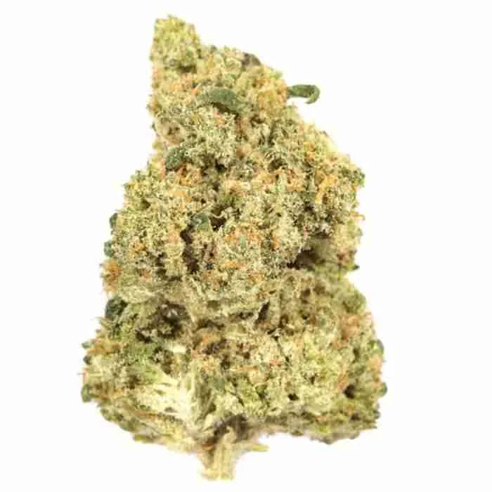 Buy Blue Dream Strain Blue Dream Strain