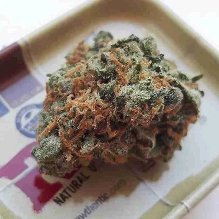 Blueberry Kush
