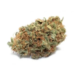 Bubble Gum