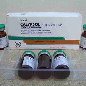 Calypsol Injection for Anesthesia and Sedation Support