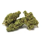 Space Monkey Meds Strains