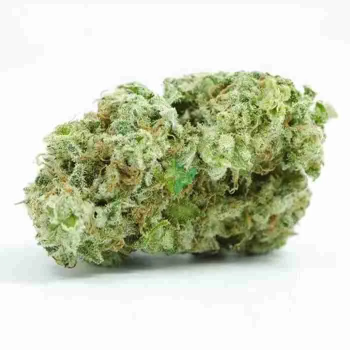 Buy Cannatonic Strain Cannatonic Strain