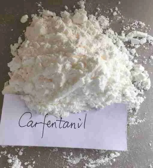 Buy Buy Carfentanil (veterinary fentanyl analog — extremely potent) Buy Carfentanil (veterinary fentanyl analog — extremely potent)