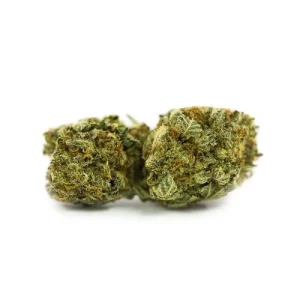 ChemDawg