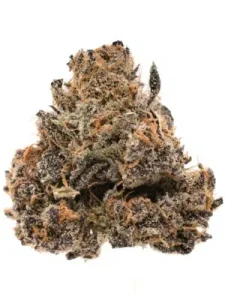 Cherry Pie Strain
