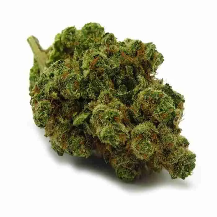 Buy Chiquita Banana Strain Chiquita Banana Strain