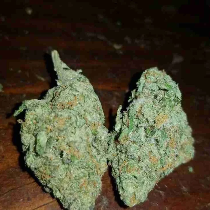 Buy Cinderella 99 / Oz Cinderella 99 / Oz
