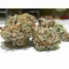 Cookie breath / Oz