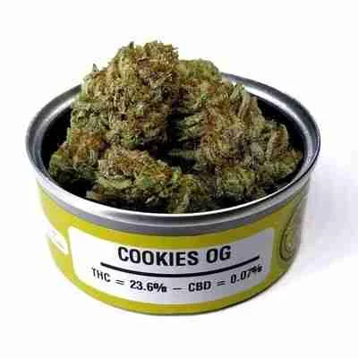 Buy Space Monkey Meds Strains Space Monkey Meds Strains