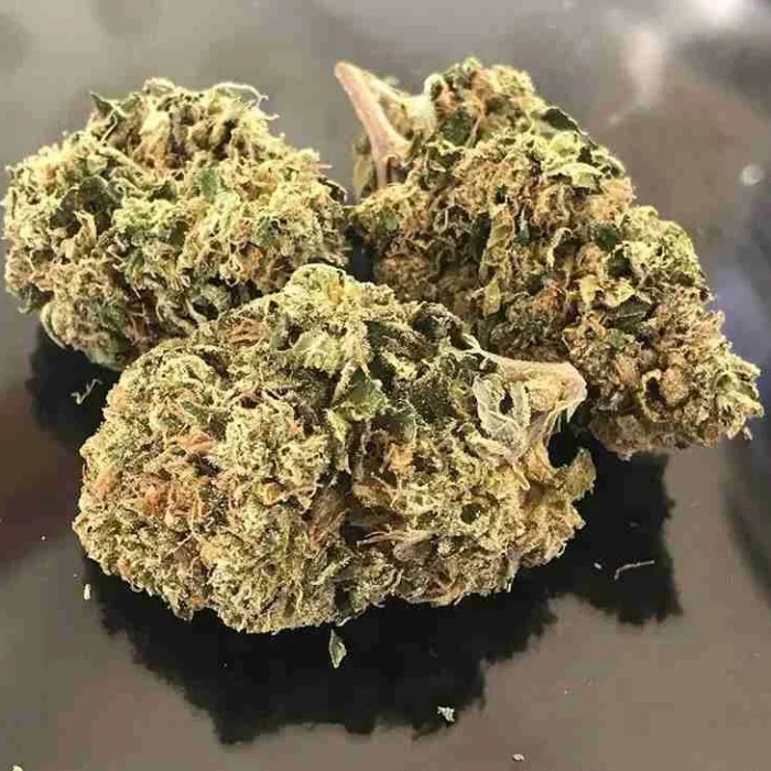 Forbidden Fruit Strain