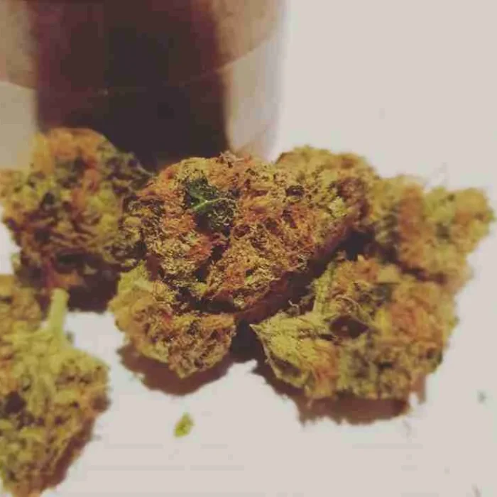 Buy Fruity Pebbles Strain Fruity Pebbles Strain