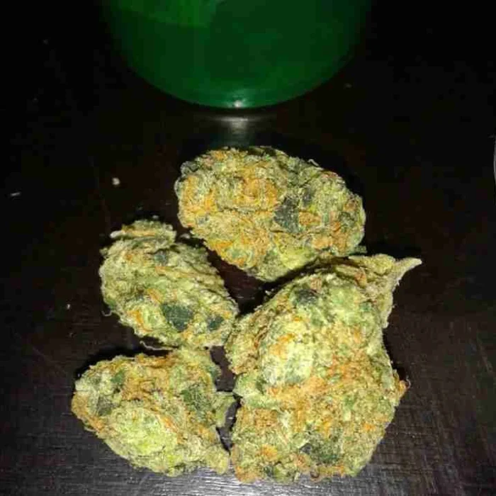 Buy G13 Haze Kush G13 Haze Kush
