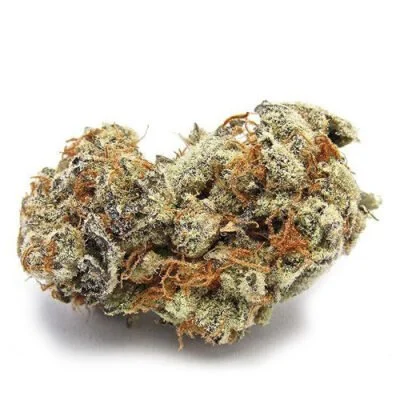 Buy G13 Strain G13 Strain