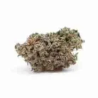 Buy Gelato 45 / Oz online