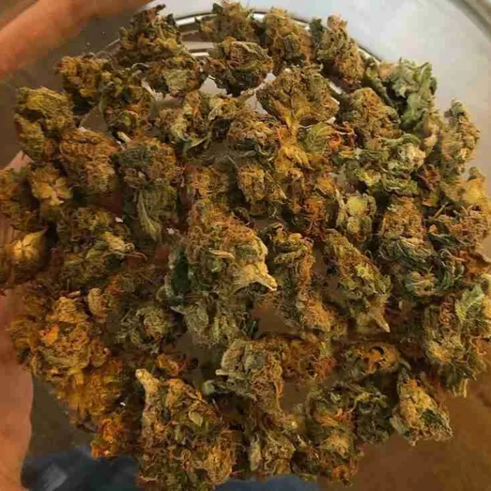 Buy Gelato Kush Gelato Kush