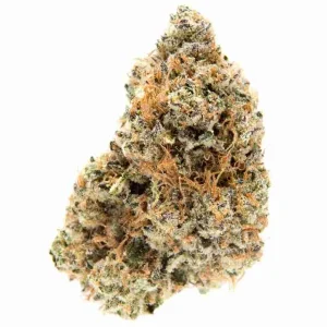 Buy Gelato 45 / Oz online