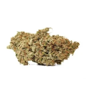 Ghost Train Haze Strain