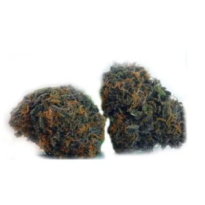 Buy God’s Gift Strain God’s Gift Strain