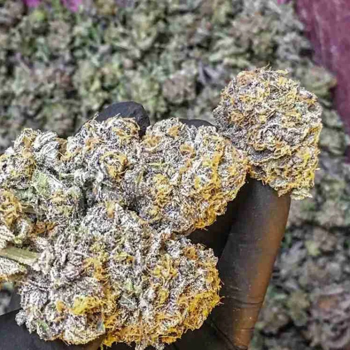 Grape Ape Weed