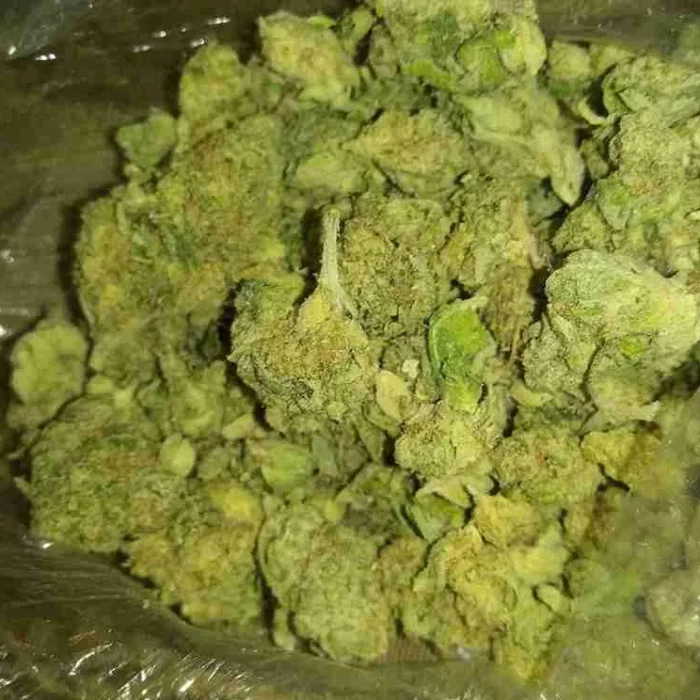 Buy Green Crack Green Crack