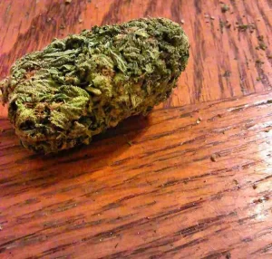 Hawaiian Kush
