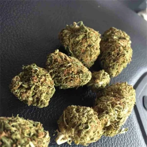 Hindu Kush