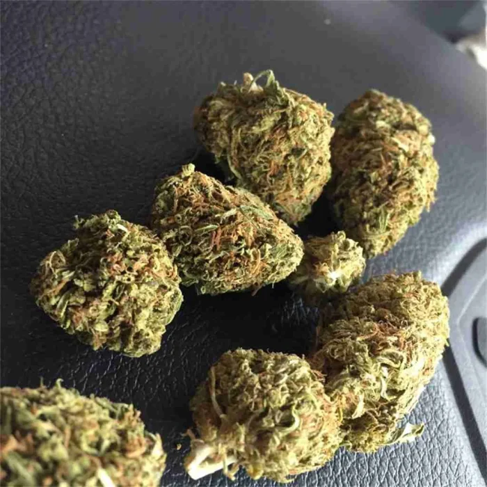 Hindu Kush