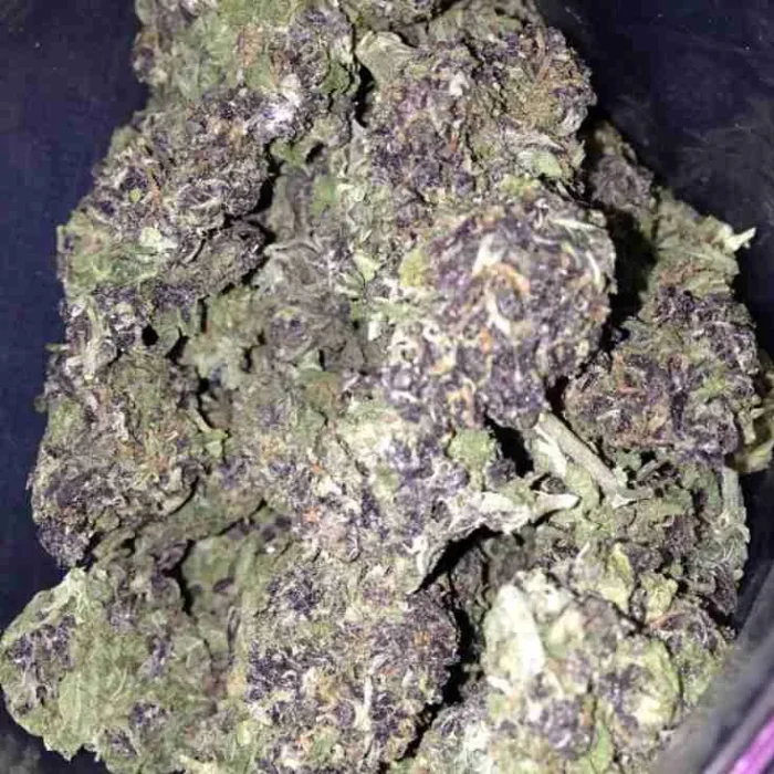 Buy Purple Hindu Kush Purple Hindu Kush