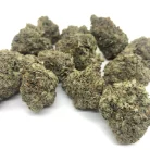 Hindu Kush 100% pure indica strain AAAA