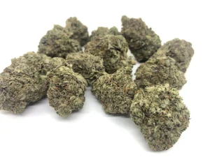 Hindu Kush 100% pure indica strain AAAA