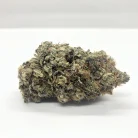 Rockstar Strain AAAA+