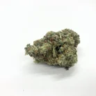 GELATO AAA+