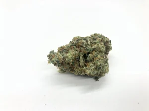 GELATO AAA+