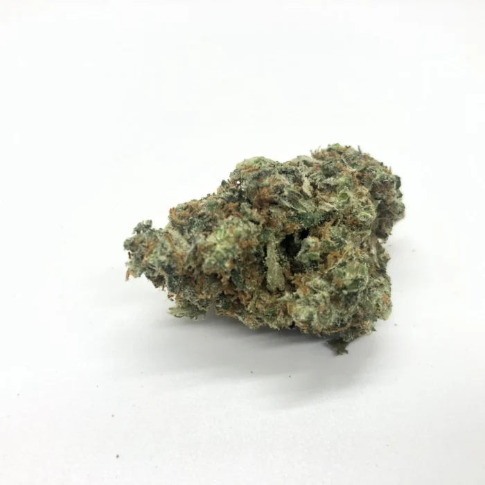 Buy GELATO AAA+ GELATO AAA+