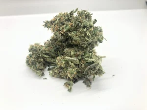 Lemon Haze Marijuana Strain