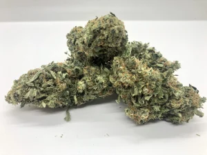 Northern light strain AAA+