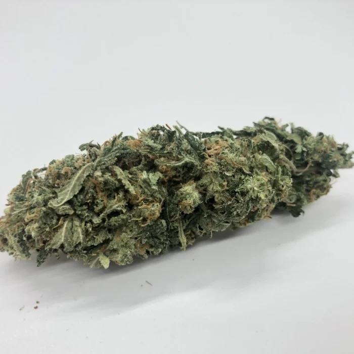 Northern light strain AAA+