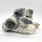 Albino Penis Envy Magic Mushroom
