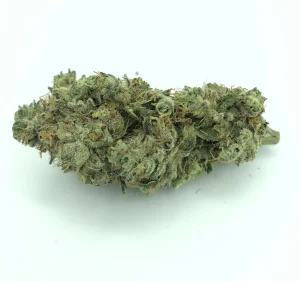 Pink Starburst Strain Hybrid Cannabis