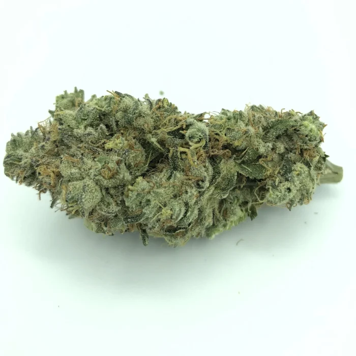 Buy Pink Starburst Strain Hybrid Cannabis Pink Starburst Strain Hybrid Cannabis