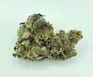 Girl Scout Cookies Strain Forum Cut